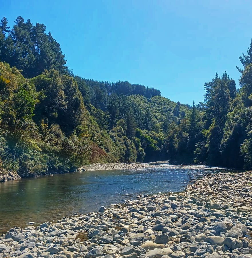 River and native forest near Te Horo